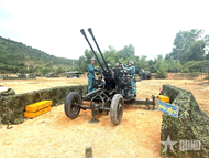 Troops Hone Skills in Field Training